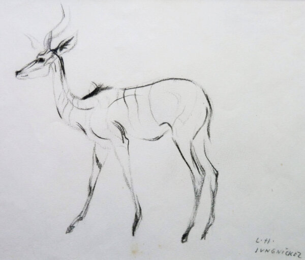 Ludwig Heinrich Jungnickel, Kohlezeichnung, Antilope