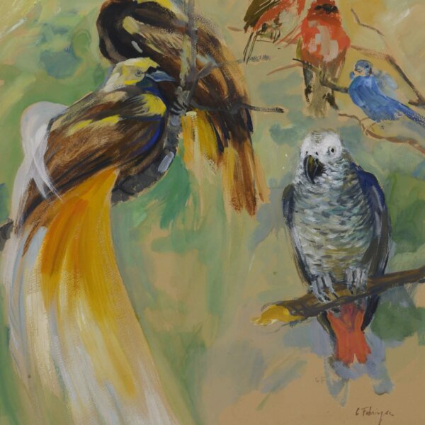 Carl Fahringer, Exotische Vögel