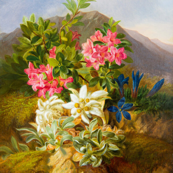 Josef Schuster, Alpenblumen