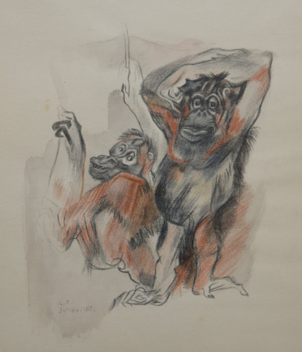 Ludwig Heinrich Jungnickel, Zwei Schimpansen
