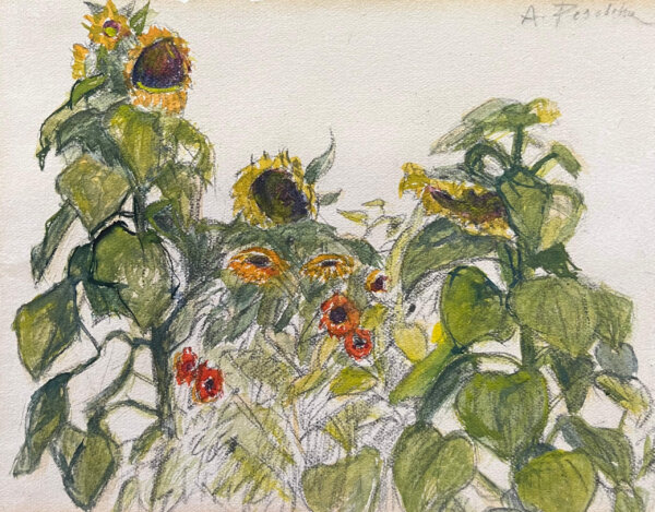 Anton Peschka, Sonnenblumen