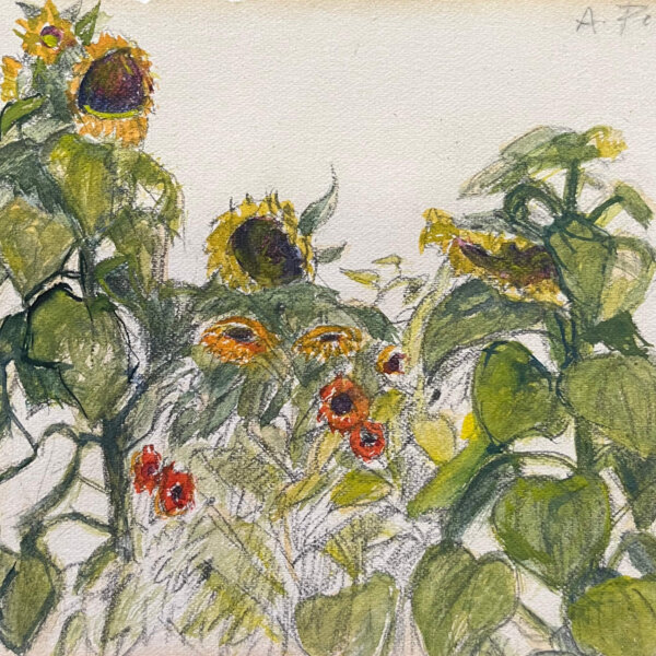 Anton Peschka, Sonnenblumen